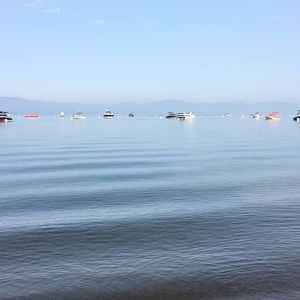 Meet your Posher, Rosa